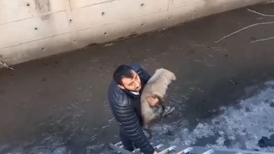 İstanbul'da köpeğini kurtarmak isterken derede mahsur kaldı