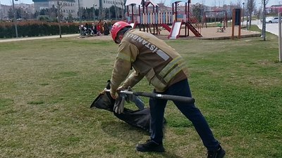 İstanbul'da bir kedi okulun havalandırma boşluğunda mahsur kaldı