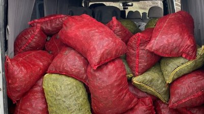 Samsun'da kaçak midye avcılığı yapan 4 kişiye 151 bin lira ceza kesildi