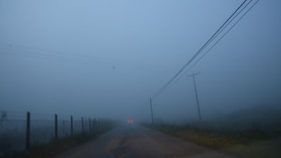 Aydın-Muğla yolunda yoğun sis