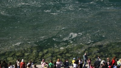 Marmara'da müsilaj: Balık sezonu erken bitti