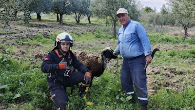Manisa'da kuyuya düşen koyunu itfaiye kurtardı