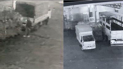 Mersin'de halden 700 kilo karpuz çalındı