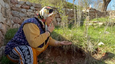 Tokat'ta türbenin toprağını yiyerek dua ediyorlar