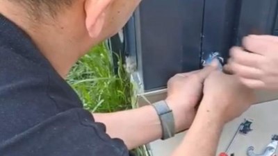 Düzce'de pervaza sıkışan muhabbet kuşu kurtarıldı