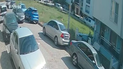Aydın'da sınava giden öğrenciye köpek saldırdı