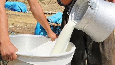2024 yılında çiğ süt üretimi yüzde 4,7 arttı