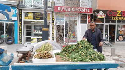 Ağrı'da baharın müjdecisi ışkın ve çiriş tezgahları süslüyor