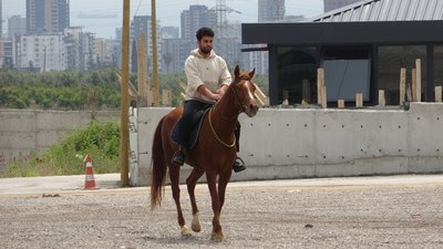 Mersin'de atla markete giden kişiye alkollü araç ve trafik cezası kesildi