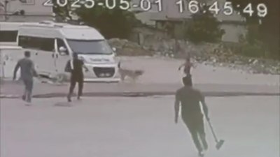 Adana'da sokak köpeklerinin çocuğa saldırısı kamerada