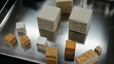 İnşaat sektöründe devrim gibi karar: Mantar tuğlalar kullanılacak