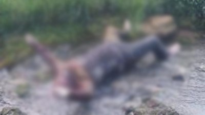 Denizli'de cezaevi firarisi derede ölü bulundu
