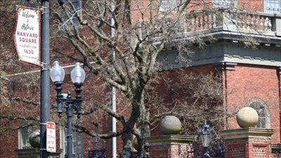 ABD Eğitim Bakanlığı:Harvard'a yeni federal fon verilmeyecek
