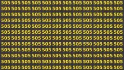 Zeka küpü olan yakalıyor! 505’lerin içinde gizli 550 sayılarını 11 saniyede bulun…