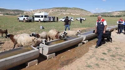 Mardin’in meraları güneş enerjisiyle sulanıyor