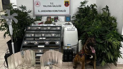 Yalova'da evinde uyuşturucu imal eden şüpheli tutuklandı