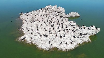 Manisa'daki lav kalıntıları göçmen kuşlarla canlandı