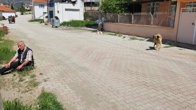 Burdur'da köpeklerin saldırısına uğrayan adam, yaralandı