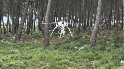 Muğla'da orman yangınlarına karşı yeni önlemler