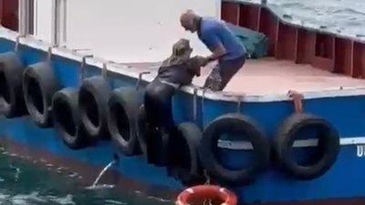 İstanbul Kartal'da vapurdan düşen kadını balıkçılar kurtardı
