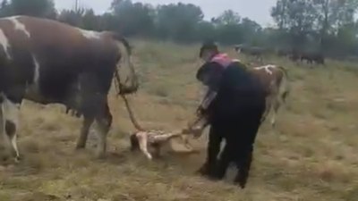 Düzce'de siren değil, doğum sesi: Jandarma bu kez hayat kurtardı