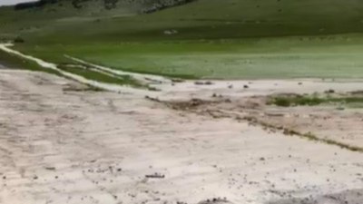 Kars'ta dereler taştı, ahırları su bastı
