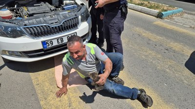 Tekirdağ'da kedi sesiyle kedi kurtarma operasyonu