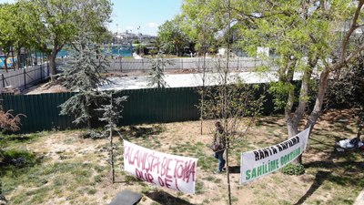 CHP'li Kadıköy Belediyesi'nden doğa katliamı