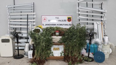 Samsun'da internette izlediği videolarla evini uyuşturucu serasına çevirdi