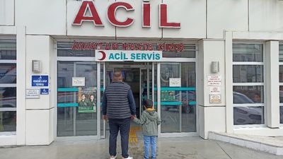 Kastamonu'da 5 yaşındaki çocuğa başıboş köpekler saldırdı