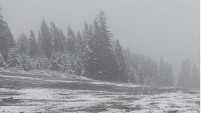 Kastamonu'da Mayıs ayının ortasında lapa lapa kar yağdı