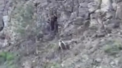Ankara'da evine giderken ayılarla karşılaştı