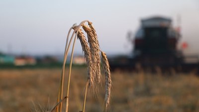 Çiftçilere 5,1 milyar lira destek ödemesi bugün yapılıyor