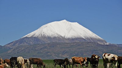 Ağrı'daki Kösedağ'ın zirvesi baharda karla kaplandı