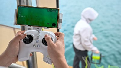 İstanbul Boğazı'ndaki deniz çayırları müsilaj kaplı