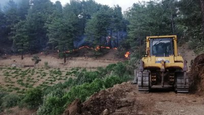Kahramanmaraş'ta torpille şaka yaparken 92 hektar ormanı yaktı