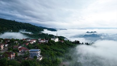 Düzce'de sis denizi