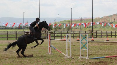 Çorum'da atlar güzellikleriyle yarıştı: Heyecan dolu anlar yaşandı