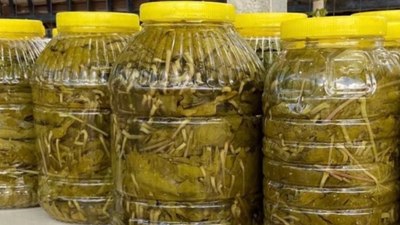 İster tuzlu, ister tuzsuz! 15 dakikada salamura yaprak saklama yöntemi…