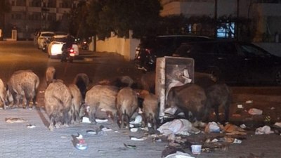Marmaris'te çöpler toplanmıyor