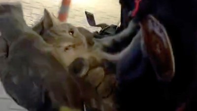 Konya'da otomobilin motor bölümüne giren yavru kedi, 4 saatte çıkarıldı