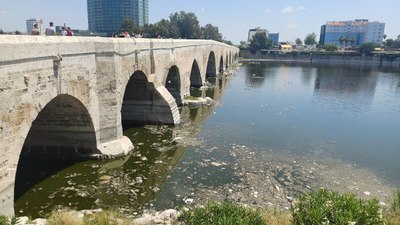 Seyhan Nehri'nde kirlilik: İzmir Körfezi’yle yarışıyor