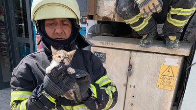 Hatay'da kedi kurtarma operasyonu