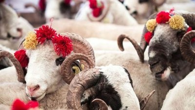 Kurban kesmek kimlere vaciptir? Diyanet cevapladı...