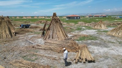 Hasadı başladı: Hollanda ve İngiltere’den sipariş yağıyor