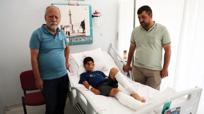 Muğla'da çocukları köpek saldırısına uğrayan aileden tepki: Toplansınlar