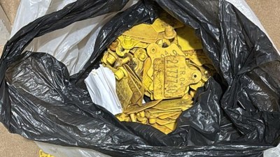 Usulsüz hayvan sevk belgesi operasyonu: 9 gözaltı