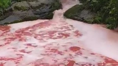 Rize'de rengi kırmızıya dönen derede inceleme başlatıldı