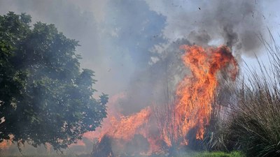 Antalya'da çalılıkta çıkan yangına 1,5 saatlik müdahale