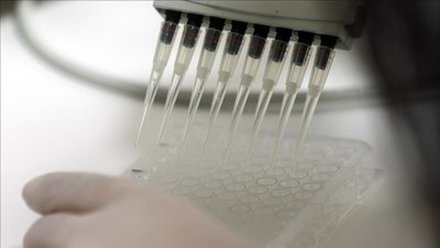 Sağlık Bakanlığı’ndan yerli aşı hamlesi: 13 aşı üretilecek